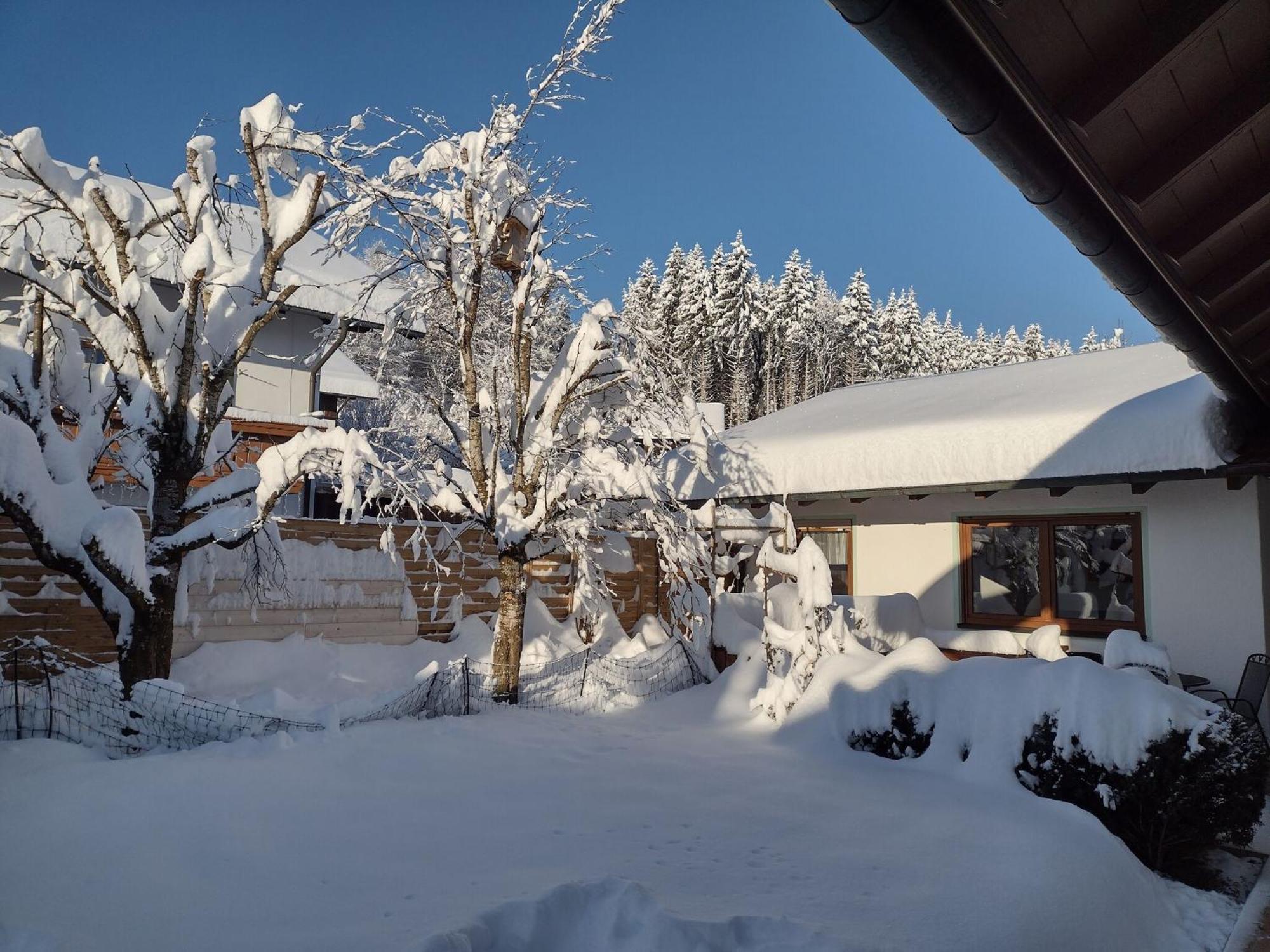 Cosy Holiday Home With Sauna In The Allg U Burggen Екстериор снимка